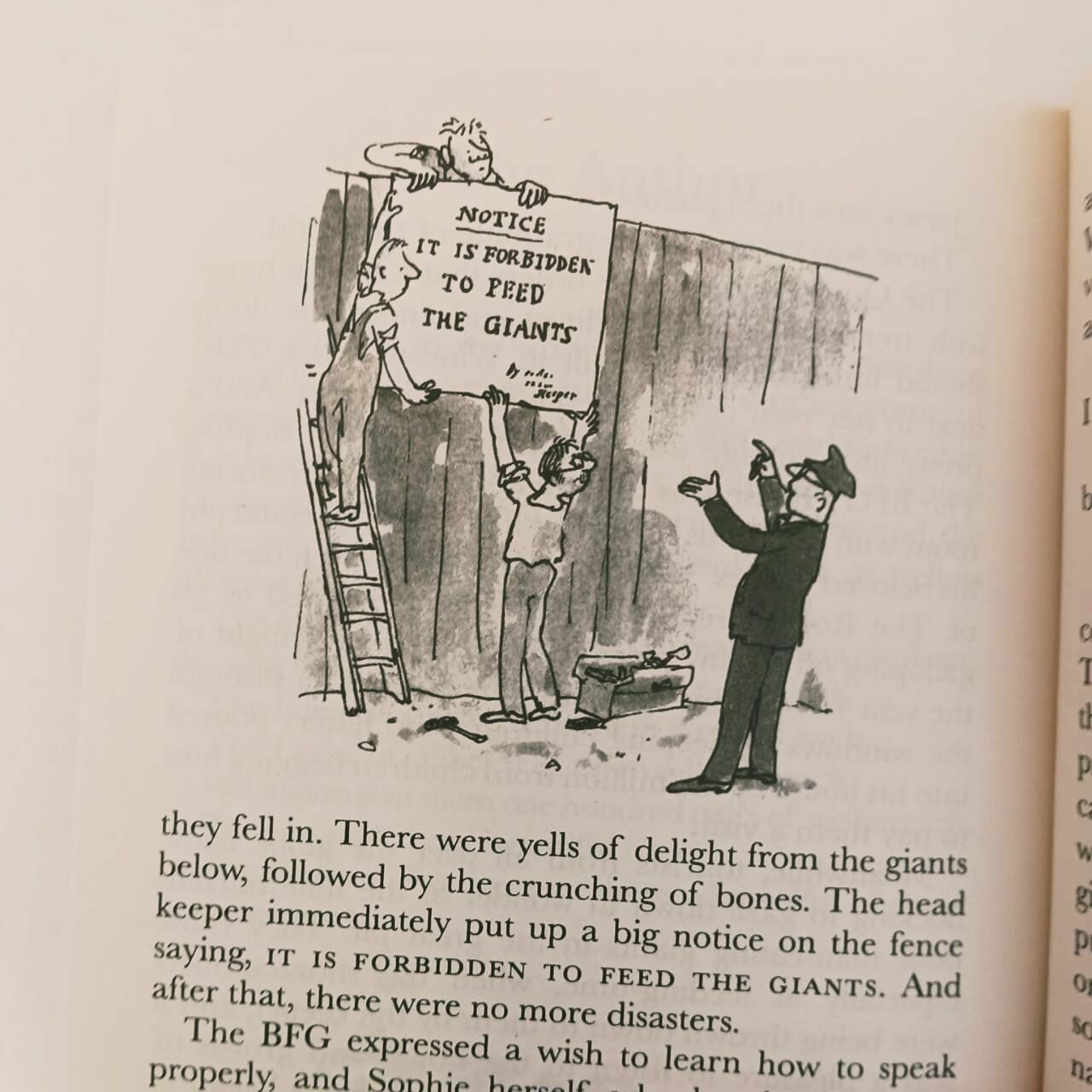 The BFG (Roald Dahl) - фото №10