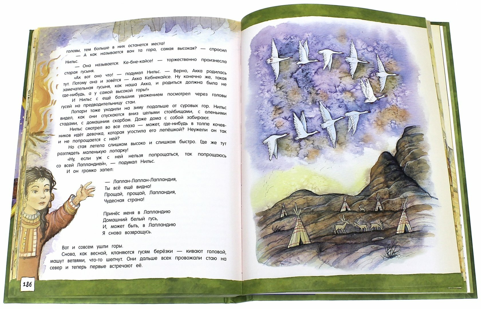 Открой книгу! Чудесное путешествие Нильса с дикими гусями - фото №11