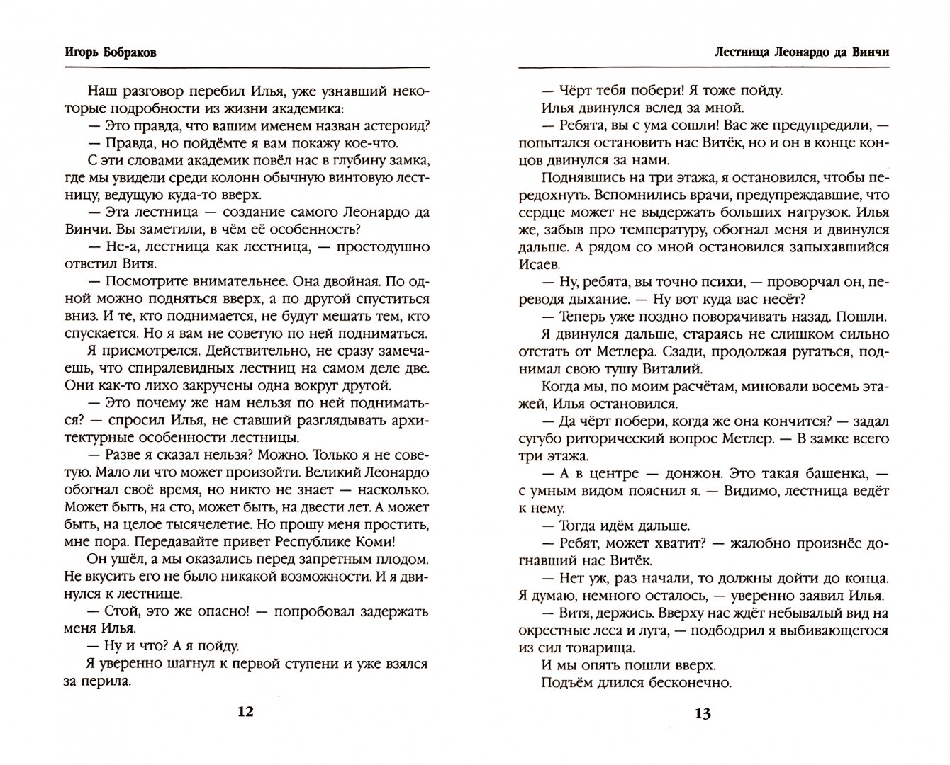 Лестница Леонардо да Винчи (Бобраков Игорь Алексеевич) - фото №3