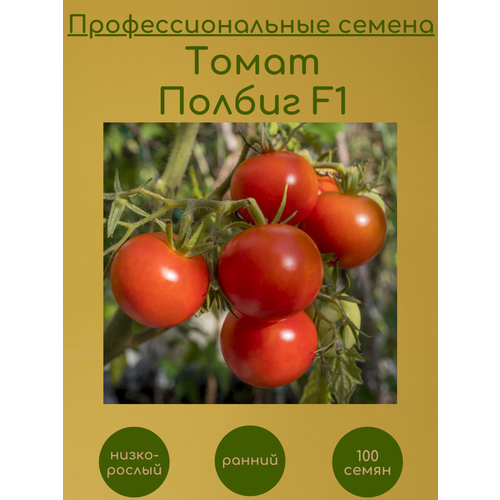 Томат Полбиг F1 100 семян