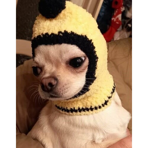 Шапка для собачек размер : XS