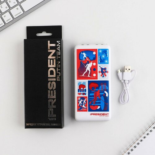 Зарядное устройство Спорт 8000мА модель PB-22 145 х 69 см 177600₽