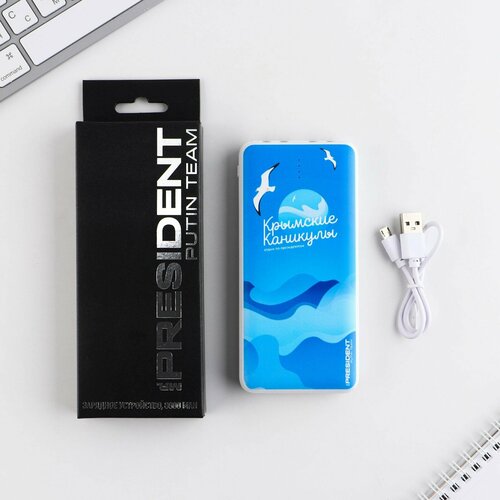 Зарядное устройство Крымские каникулы 8000мА модель PB-23 145 х 69 см 273500₽