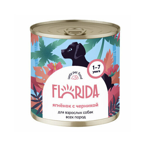 FLORIDA консервы Консервы для собак Ягненок с черникой 22ел16 0,4 кг 56418 (2 шт) биойогурт эконива с черникой 2 8% 125 г