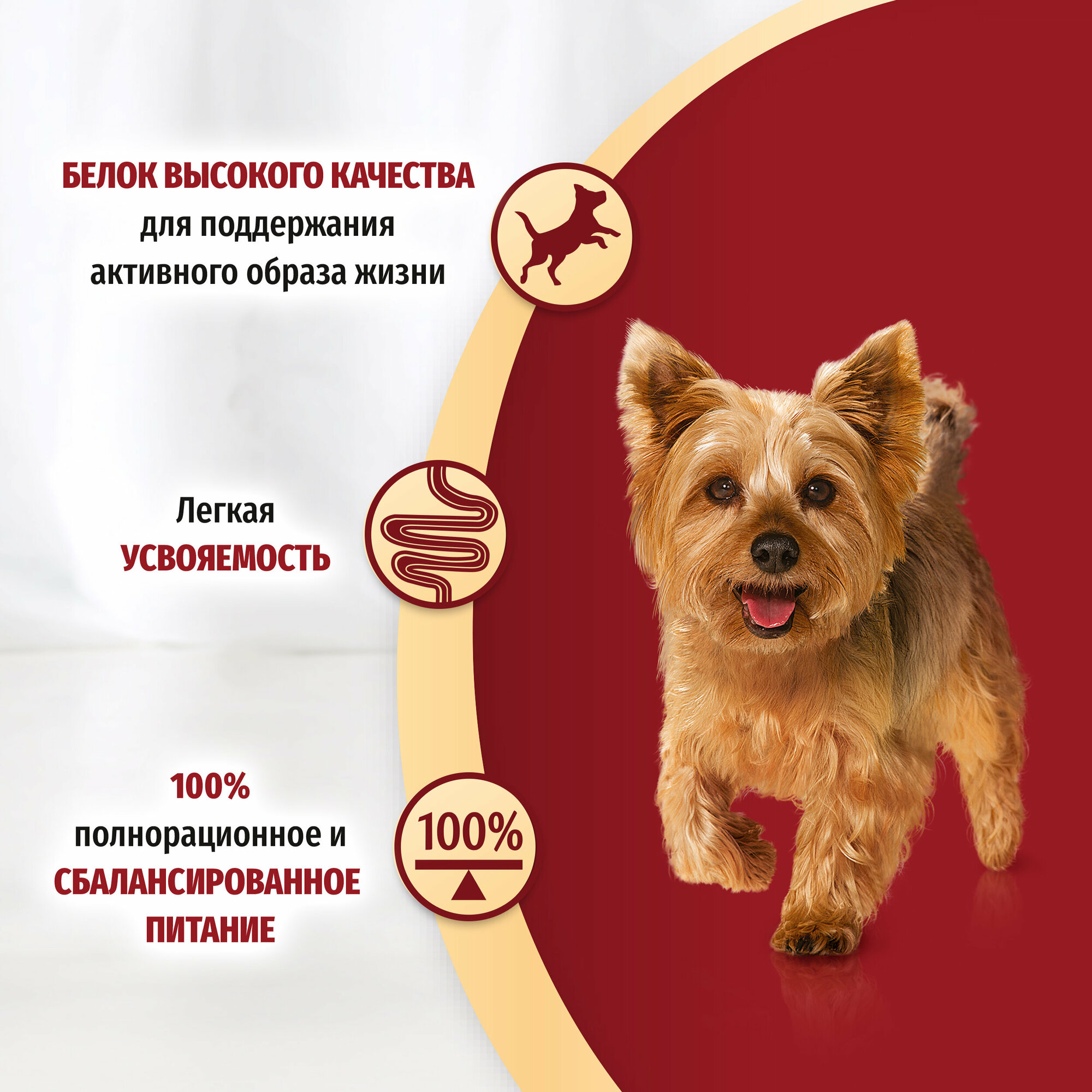 Корм влажный Purina One Мини набор для активных взрослых собак мелких и карликовых пород говядина, картофель, морковь, утка, паста и зеленая фасоль в подливе 10 шт x 85 г