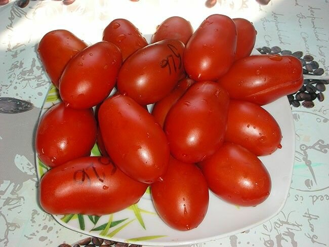 Коллекционные семена томата Кавказская лиана