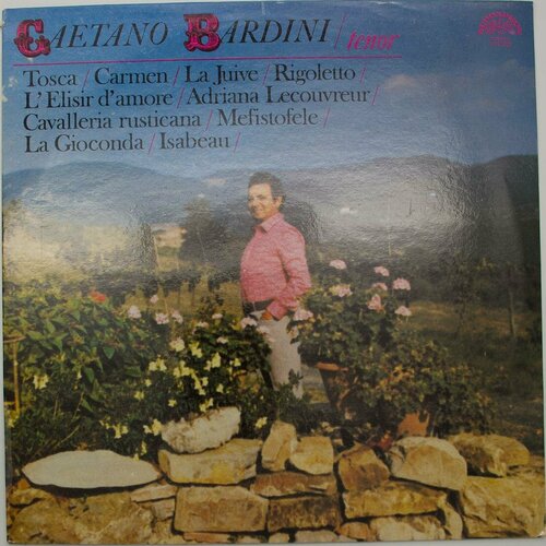 Виниловая пластинка Gaetano Bardini - - Tenor (LP)