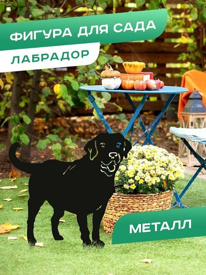 Садовая фигура собака Лабрадор для дачи металлическая