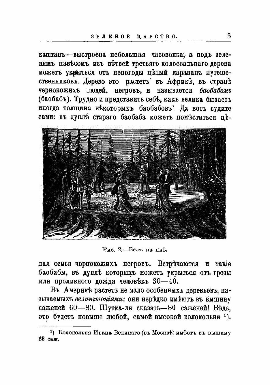 Книга Зеленое царство. Беседы о том, как живет растение - фото №3