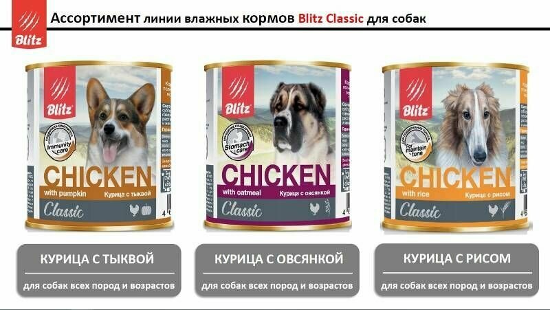Classic курица, рис банка 750г Blitz - фото №6