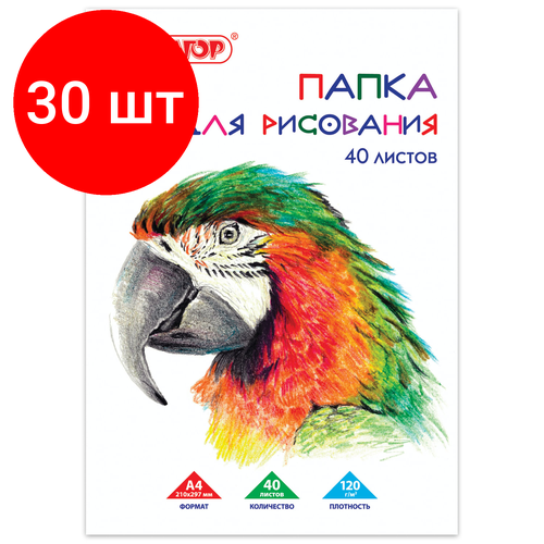 Комплект 30 шт, Папка для рисования, А4, 40 л, 120 г/м2, пифагор, 210х297 мм, Попугай, 129222