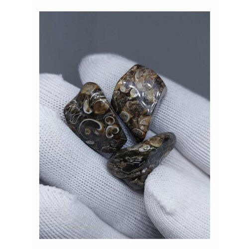 Черепаховый Агат галтовка 15-25 см 1 штука 200₽