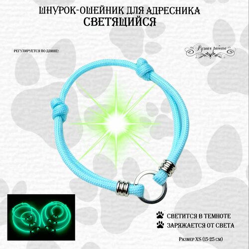 Шнурок-ошейник светящийся для адресника. XS (15-25 см) Голубой