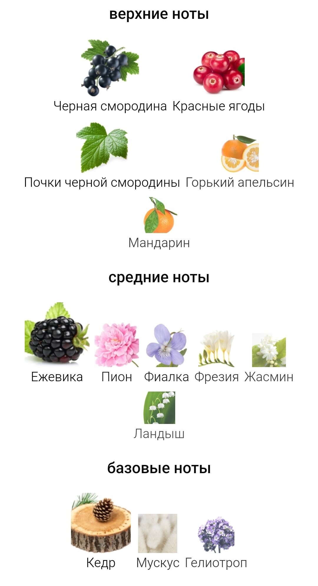 Духи Eau de Parfum II — фото 1