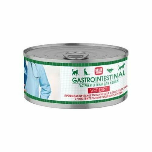 SOLID NATURA VET Gastrointestinal диета для кошек влажный 100гр