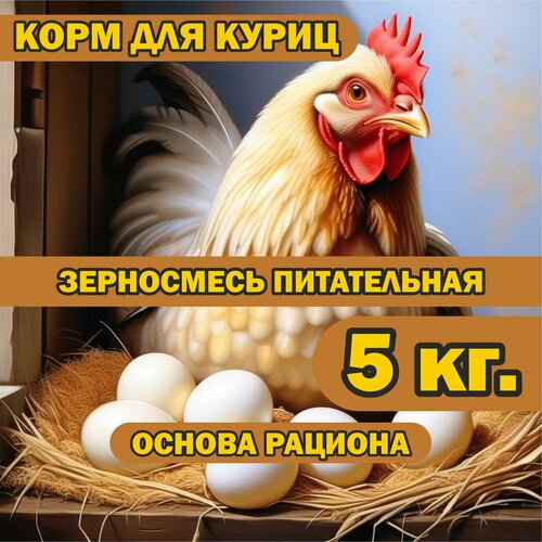 Корм для куриц 5 кг. питательный, зерносмесь