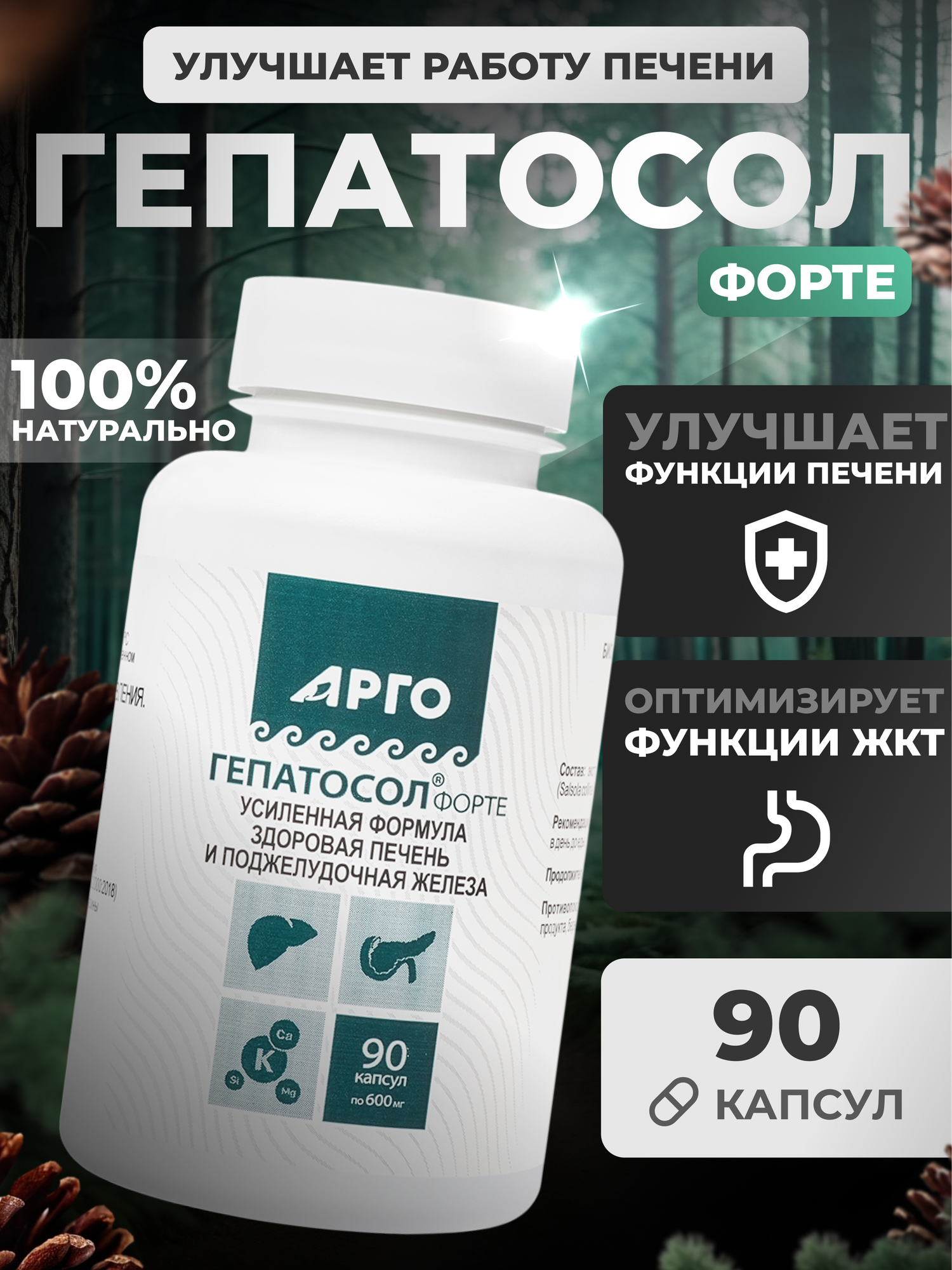 @3509 Гепатосол Форте Арго Биолит, антиоксидантный, печень и поджелудочная, 90 капс.