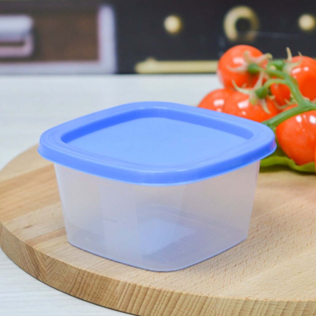 Контейнер пластиковый 023л Bio Fresh квадратный прозрачный с синей крышкой для хранения продуктов