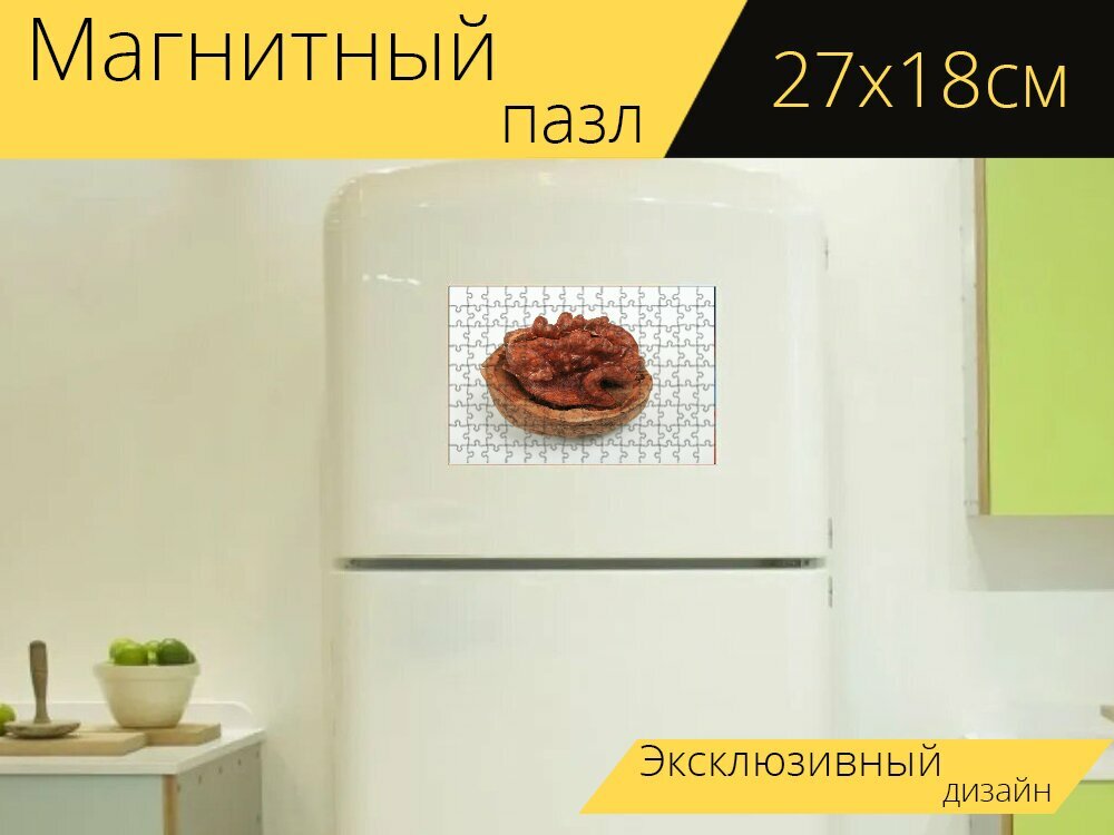 Магнитный пазл "Грецкий орех, лесной орех, скорлупа ореха" на холодильник 27 x 18 см.