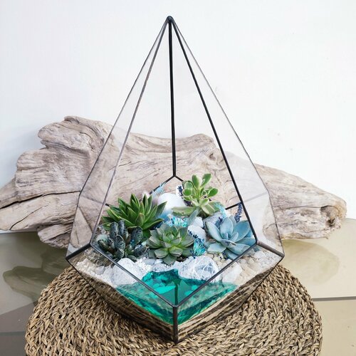 Флорариум с суккулентами 