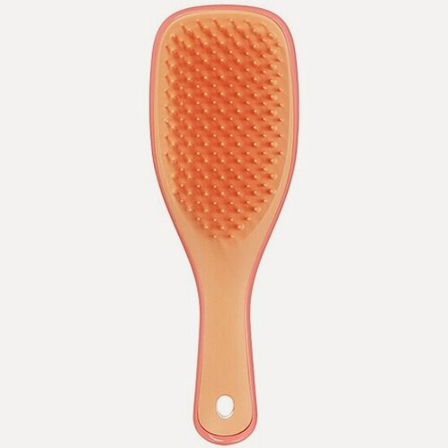 Изображение товара Расческа Tangle Teezer The Wet Detangler Mini Salmon Pink & Apricot