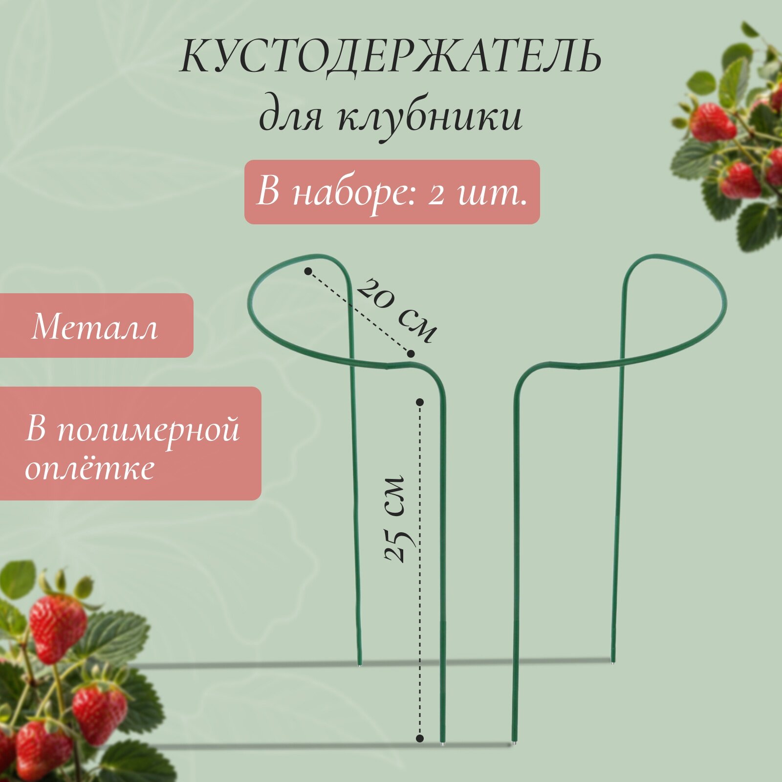 Кустодержатель для клубники "Greengo" d = 20 см, h = 25 см, ножка d = 0,3 см, металл, зелёный