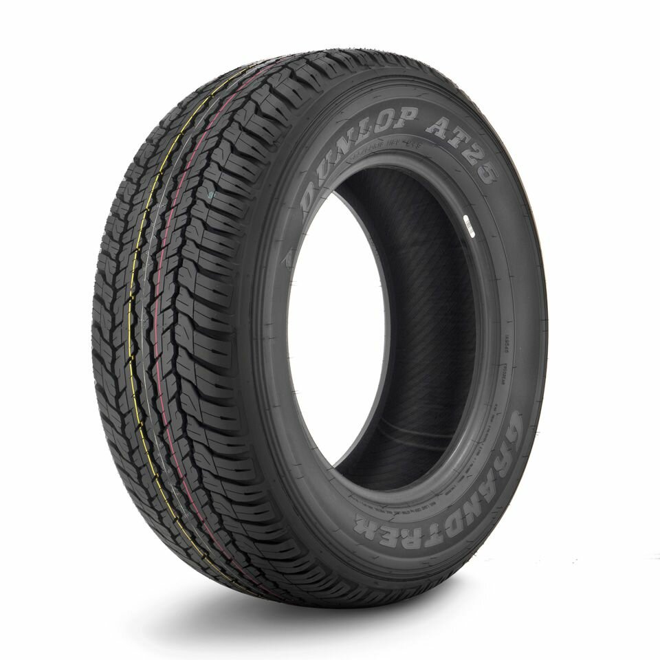 Шины Dunlop - фото №3