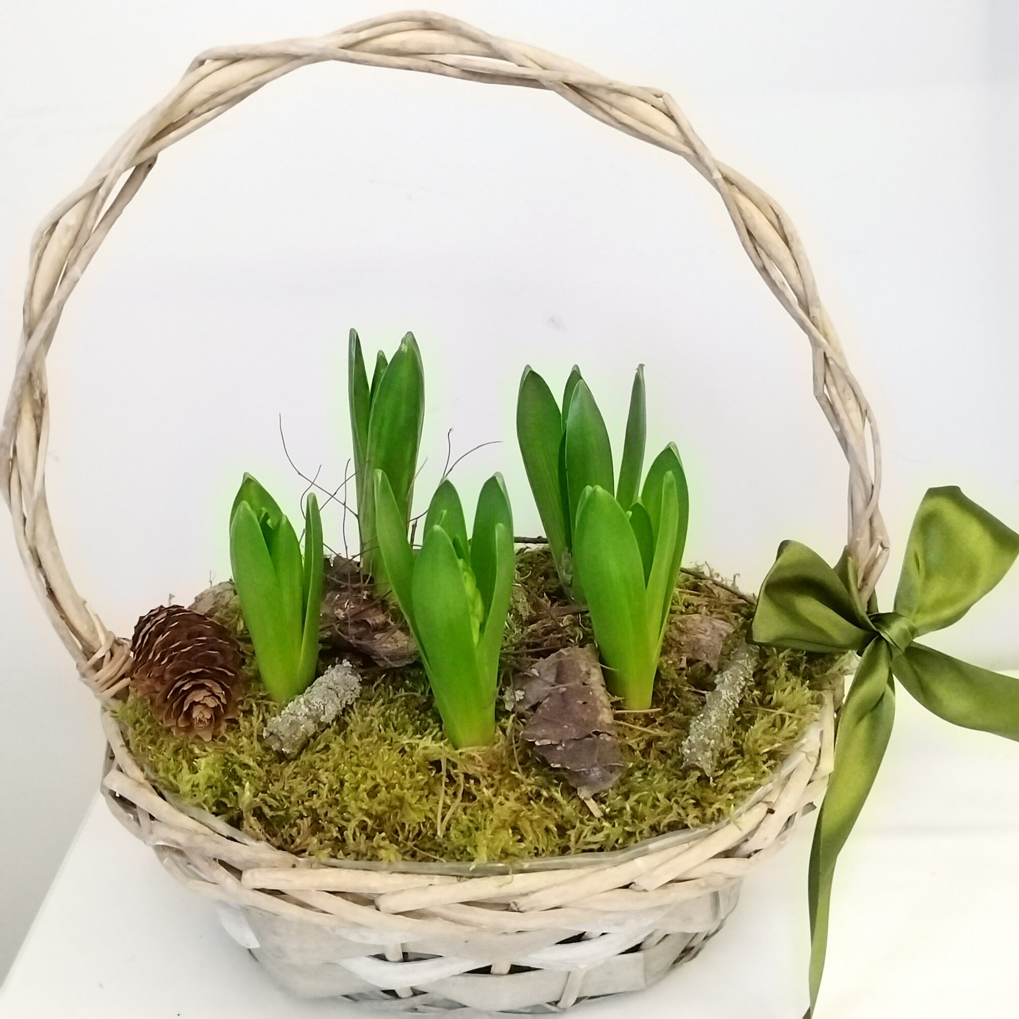 Гиацинты в корзине