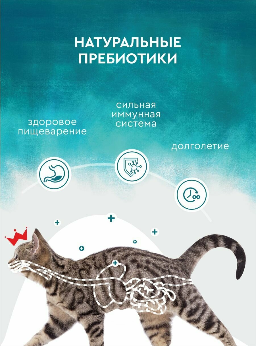 Беззерновой сухой корм для стерилизованных котов и кошек 5 кг, индейка и курица — фото 1