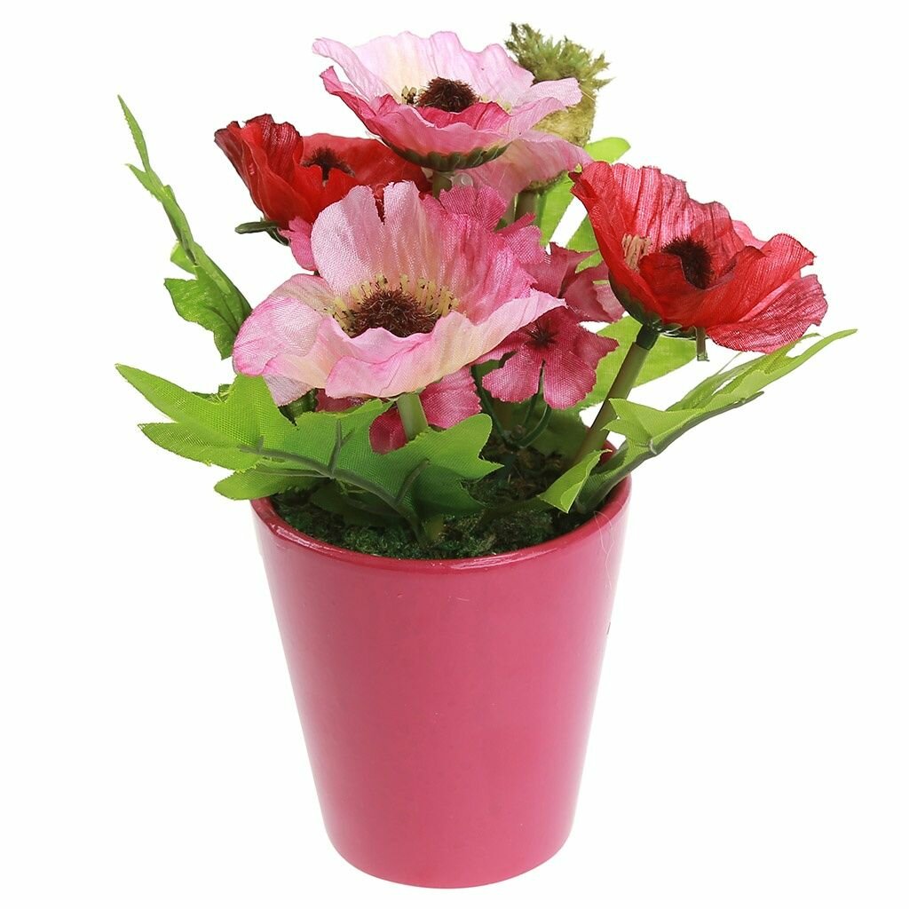 Цветочная композиция КНР 