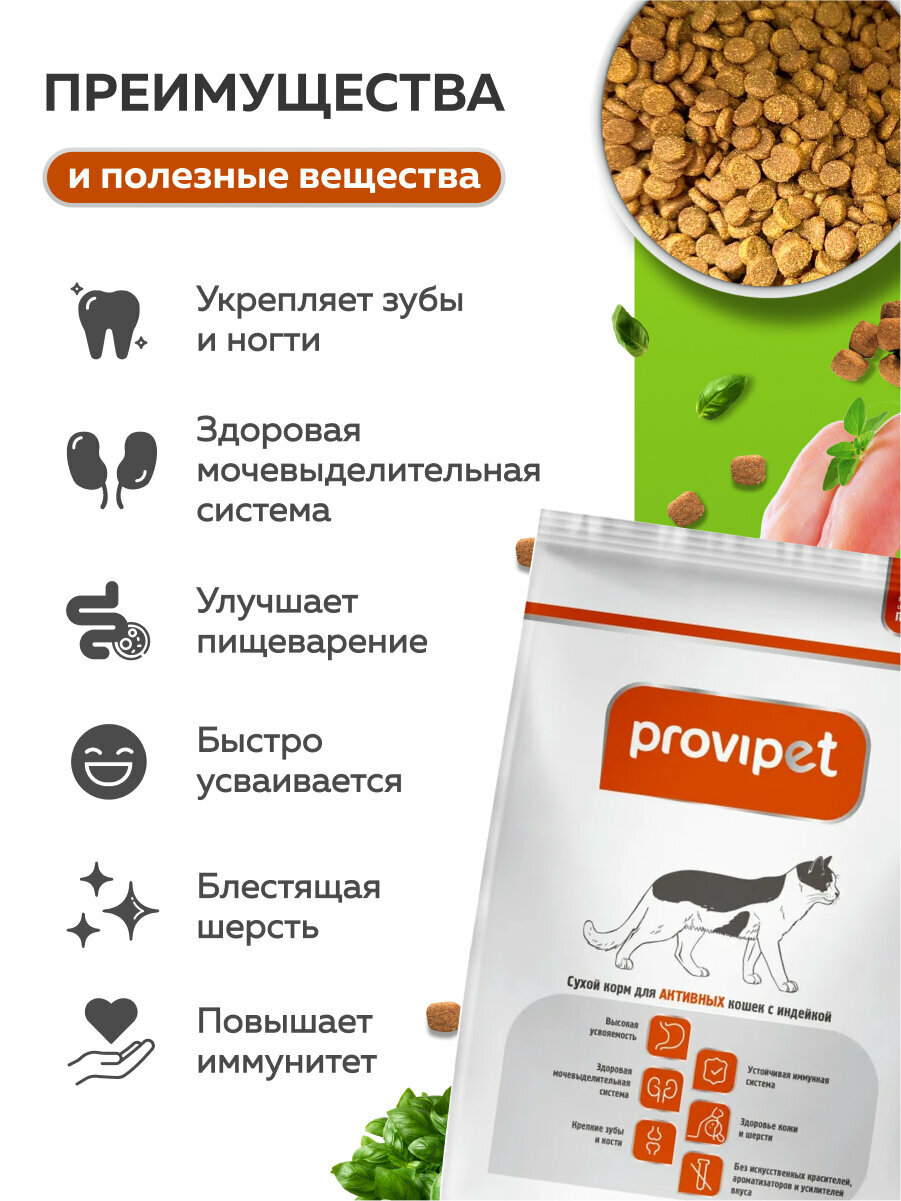 Сухой корм для активных кошек с индейкой 2 кг — фото 1