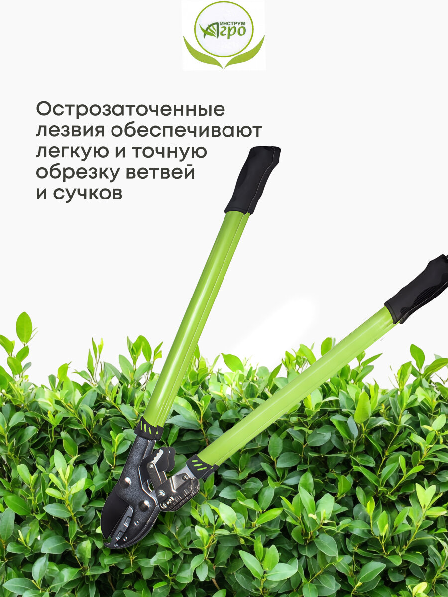 Изображение Ножницы кусторез садовые для дачи, 780мм, для кустарников, Инструм-Агро, НКО D331B-A