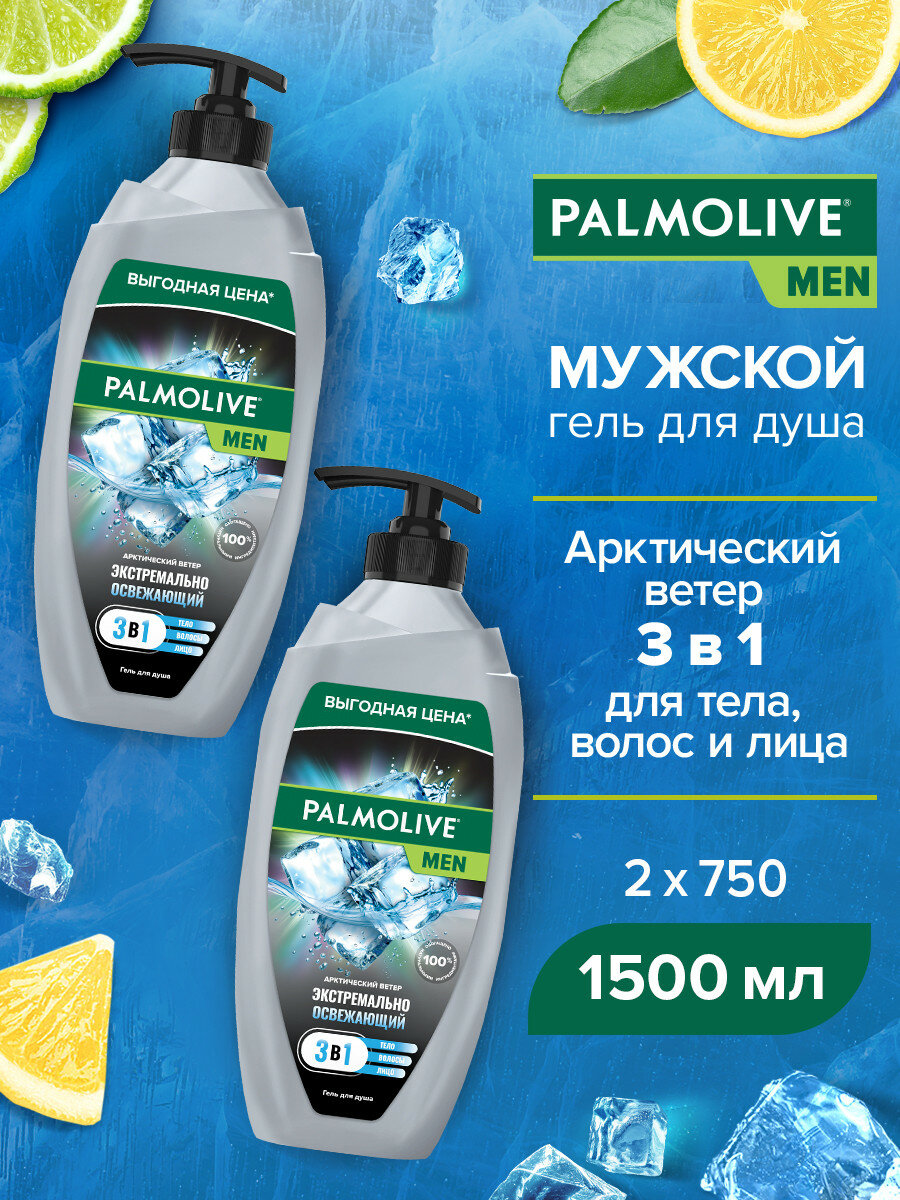 Гель для душа мужской Palmolive MEN Арктический ветер 3 в 1 для тела, волос и лица, 750 мл (2 шт)
