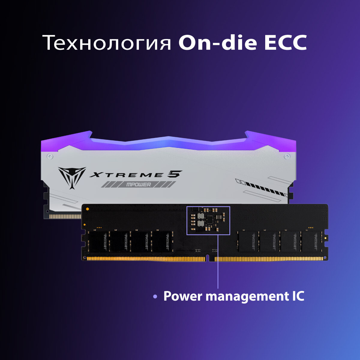 Оперативная память Patriot Viper Xtreme 5 PVXR548G64C32KM DDR5 - 2x 24ГБ 6400МГц, DIMM, Ret — фото 1