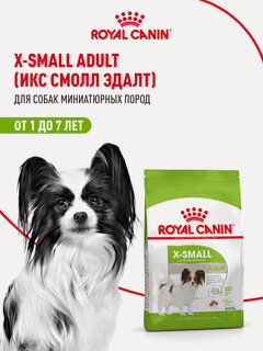 Изображение товара Сухой корм для собак Royal Canin X-Small Adult для очень мелких пород, 1,5 кг