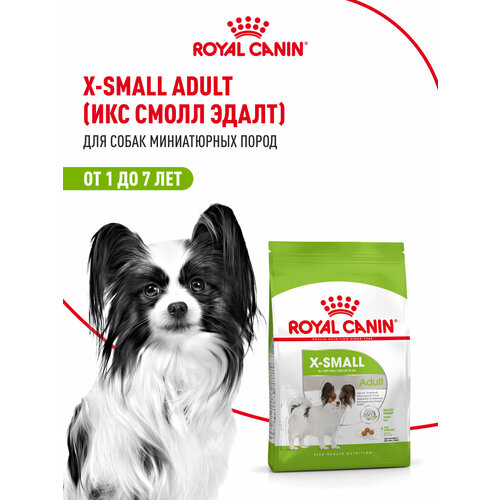Сухой корм Royal Canin X-Small Adult (Икс Смолл Эдалт) для собак очень мелких размеров от 10 месяцев до 8 лет, 0.5 кг