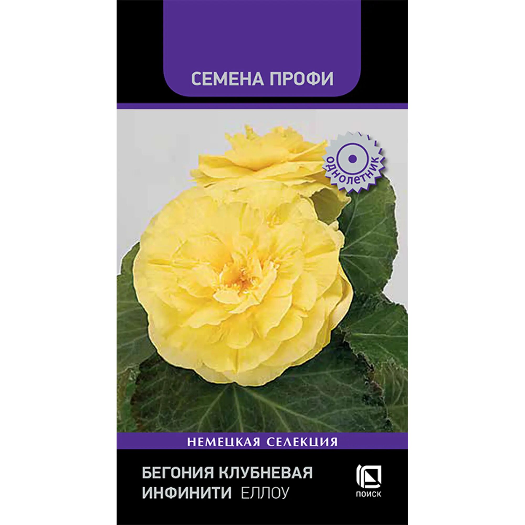 Семена цветов Поиск бегония клубневая Инфинити Еллоу 7 шт   3 шт в 1 упаковке 