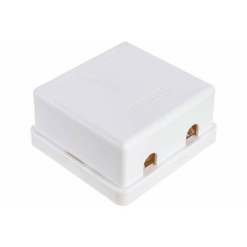 Настенная розетка NETLAN 2 порта, категория 5e, RJ45/8P8C, неэкранированная, белая, EC-UWO-2-UD2-WT-1