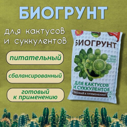 Биогрунт для кактусов и суккулентов, грунт для цветов, почва, земля, БИО экосс