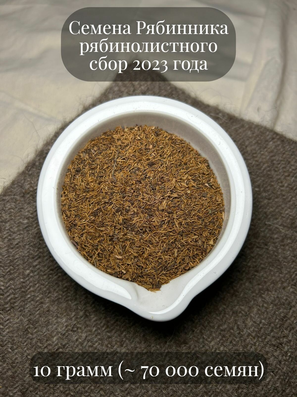 Семена декоративного кустарника Рябинника рябинолистного 10 грамм