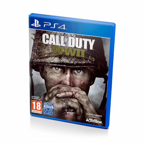 Call of Duty WWII (PS4/PS5) английский язык