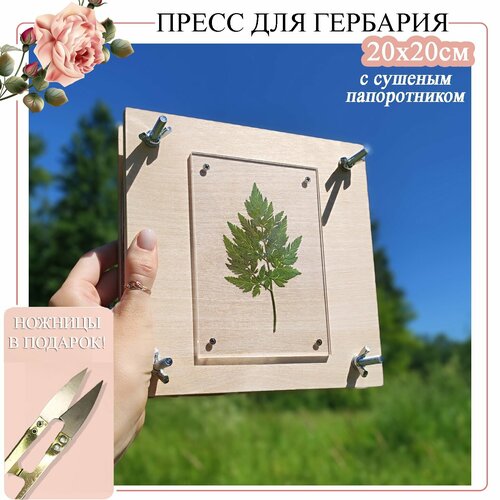 Пресс для гербария 2500₽