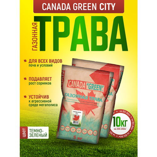 Газонная трава семена Городская 10кг / Канада Грин Городской 10 кг/ семена газона райграс, мятлик, овсяница