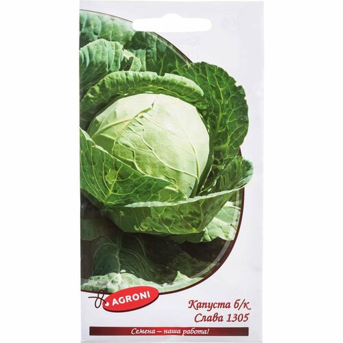 Белокочанная капуста капуста Агрони слава