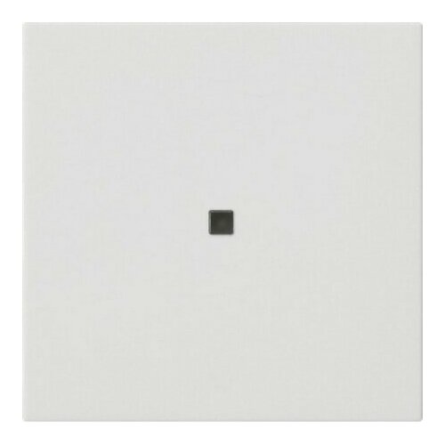 Верхняя часть радиоуправления чисто-белый - Интеллектуальный элемент управления белый 549527 Gira 4010337104490 42500₽