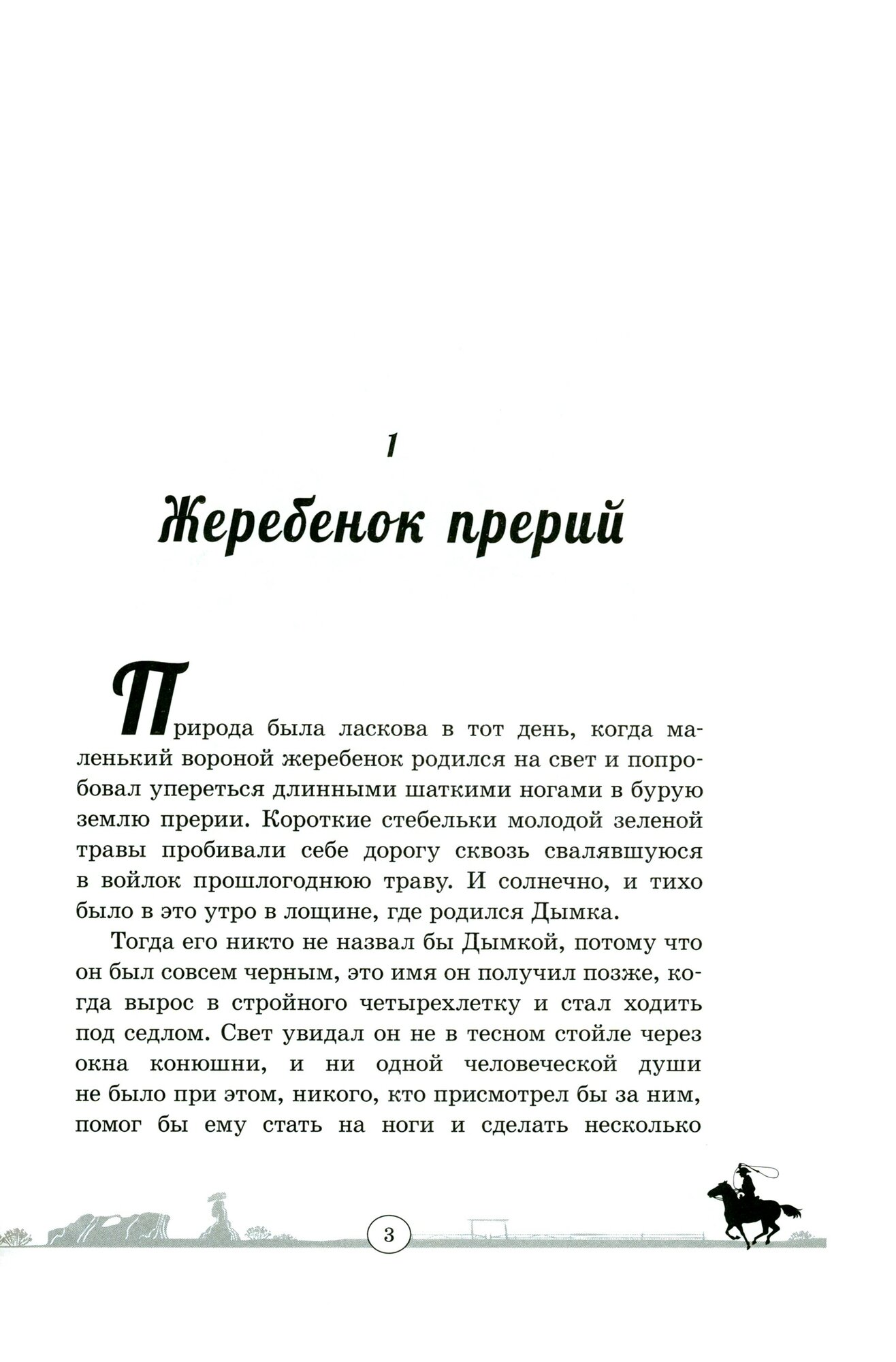 Книга Дымка. Конь ковбоя (Джемс Виль) - фото №7