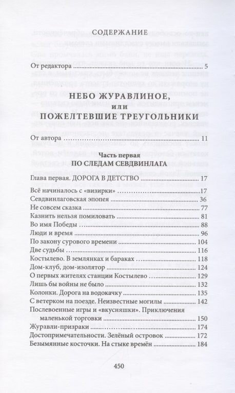 Небо журавлиное повести (Темнова-Сидорова Н. М.) - фото №2