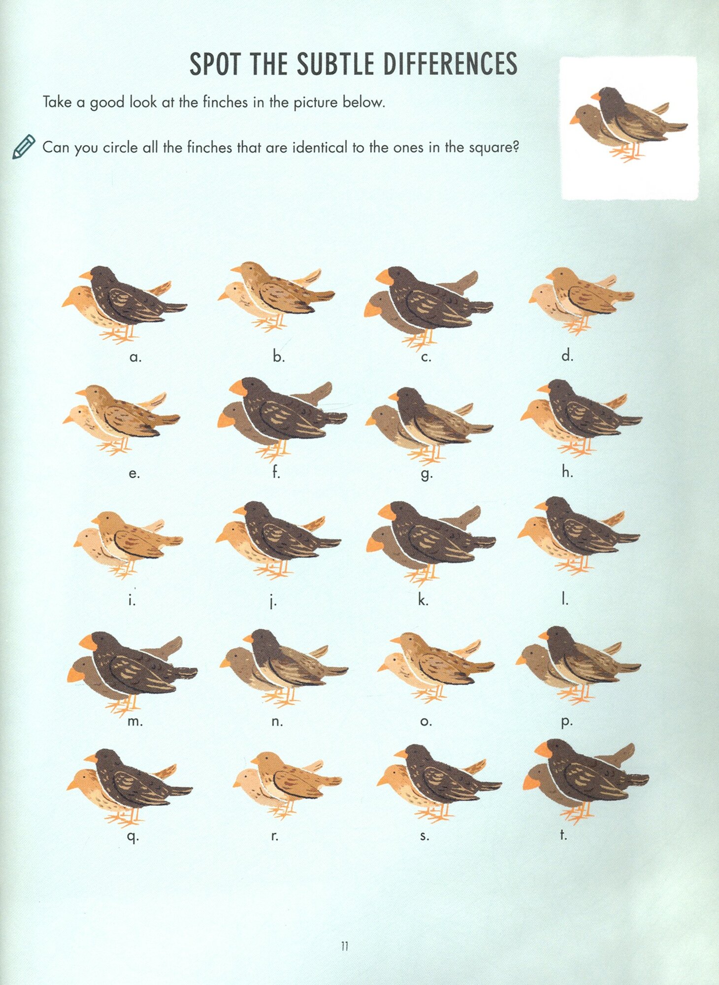 Evolution Colouring and Activity Book - фото №2