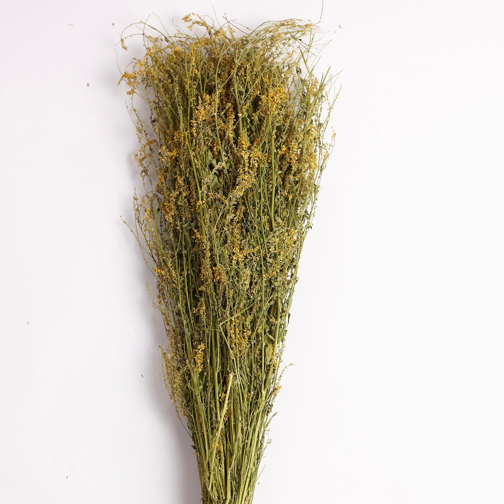 Трава для бани Донник желтый с медовым ароматом - Милая Баня — фото 1