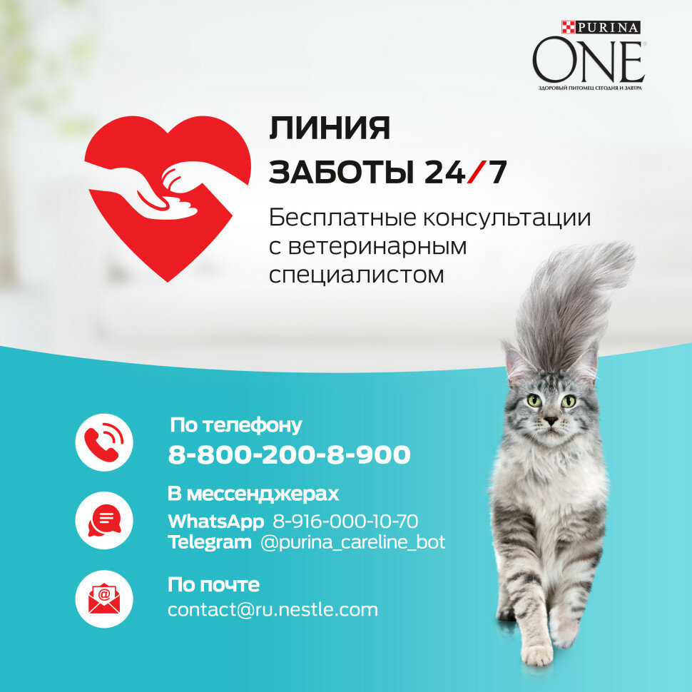 Purina One корм для домашних стерилизованных кошек и кастрированных котов Курица, 3 кг. - фотография № 16